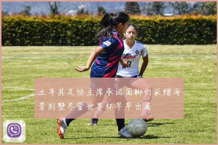 土耳其足协主席承诺国脚们获赠海景别墅尽管世界杯早早出局
